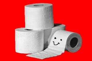 british slang words bog roll